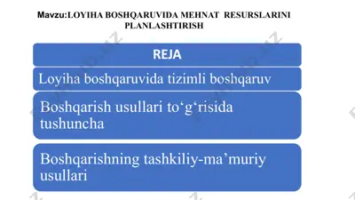 mehnat resurslarini planlashtirish — PDF