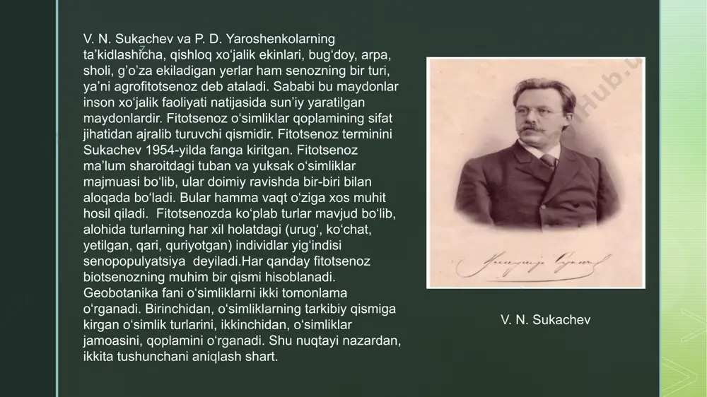 fitotsenoz strukturasi - Page 4