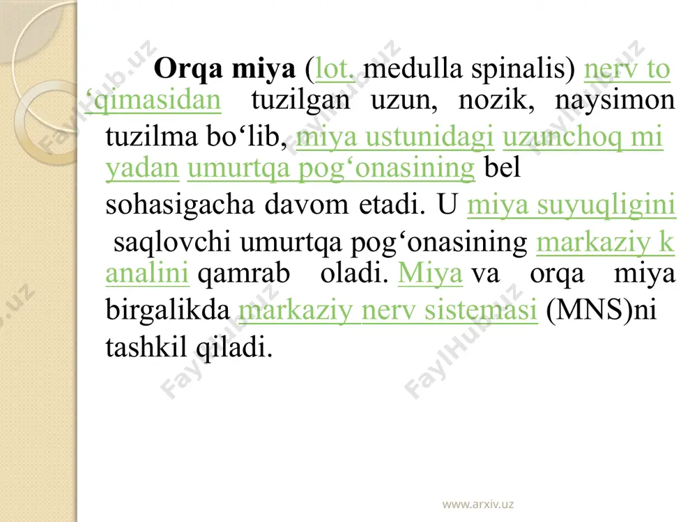 t boshli muskuli payiga, ya`ni tizza 20 kosasi tagiga sekin urilsa, tizza bo’g’imidan oyoqni yozish refleksini yuzaga keltiradigan sonning to’rt boshli muskuli qisqaradi. bu tajribani ikkinchi oyoqda ham qilib ko’rib, har ikkala oyoq reflekslari qiyoslanadi. bu reflekslar reflektor yoyining markaziy neyronlari orqa miyaning 3-4 bel segmentlari balandligida joylashgan. www.arxiv.uz www.arxiv.uz axillov refleksini hosil qilish. ishni bajarish tartibi. sinaluvchi kishi stulda tizzalab o’tiradi; har ikkala oyoq kaftlari esa osilib turadi. pay reflekslari tekshiriladigan bolg’acha bilan axillov payiga sekin urilsa, oyoq kafti to’piqdan yoziladi. bu hodisa boldirning uch boshli muskuli qisqarishi natijasida yuzaga keladi. buni ikkinchi oyoqda ham sinab ko’rilib, har ikkala oyoq reflekslari qiyoslanadi. bu refleks reflektor yoyining markaziy neyronlari orqa miyaning 1–2 dumg’aza segmentlari balandligida joylashgan. tajribada sinab ko’rilgan reflekslarga quyidagicha sxema shaklida www.arxiv.uz www.arxiv.uz www.arxiv.uz image2.jpeg image3.jpeg image4.jpeg image5.jpeg image6.jpeg image7.png image8.png image9.png image10.png image11.png /docprops/thumbnail.jpeg