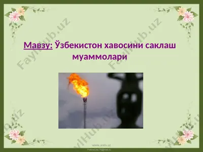 ўзбекистон хавосини саклаш муаммолари — PPT