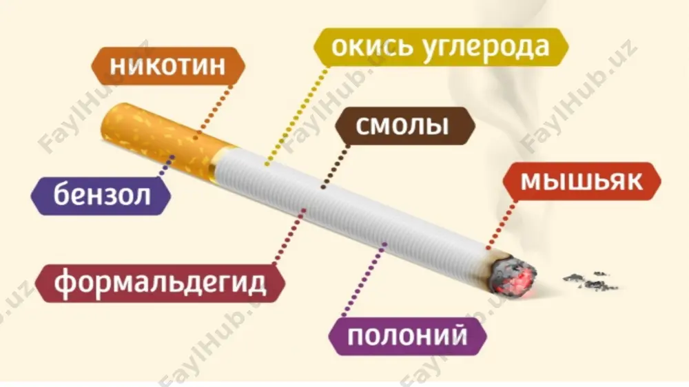 shlatib, inson unga jismoniy va ruhiy jihatdan qaram bo'lib qoladi va har doim unga qaytadi. uzoq muddatli foydalanishga ega bo'lgan nikotinni ko'rish buzilish, oshqozon va ichak shikastlanishi, arterial gipertoniya, giperglikemiya, taxikardiya, ateroskleroz, aritmiya, ishemik yurak kasalligi, angina pektoris, miyokard infarkti va yurak yetishmovchiligi kabi muammolarni rivojlanishiga olib keladi. qatronlar bilan birga nikotin o'pka saratoni rivojlanishiga hissa qo'shishi mumkin. ko'p yillardan beri chekadigan odamlar ikkilanib qoladilar. iste'molning ta'siri va belgilari nikotinning birinchi usullari ko'ngil aynish va gijjalar keltirib chiqaradi. chekishni davom ettirsangiz, moslashuv boshlanadi va bu reflekslar yo'qoladi. ehtimol, organizmning bir oz hayajoni. qoida tariqasida skelet mushaklari va qo'llarning titragichlari yengil. sigaretchining reaktsiyasi vaqti kamayadi, ammo e'tibor va qisqa muddatli xotira yaxshilanadi. bundan tashqari, chekish vaqtida tashvish yo'qoladi va tuyadi ham yomonlashadi. biroq, barcha ijobiy jarayonlar, tanadagi modda kontsentratsiyasi tushib qolsa, tezda teskariga aylanadi.nikotin bilan zaharlanish bu kabi alomatlar bilan ifodalanadi: ko'ngil aynishi va qusish, qorin og'rig'i, yurak urishi va qon …