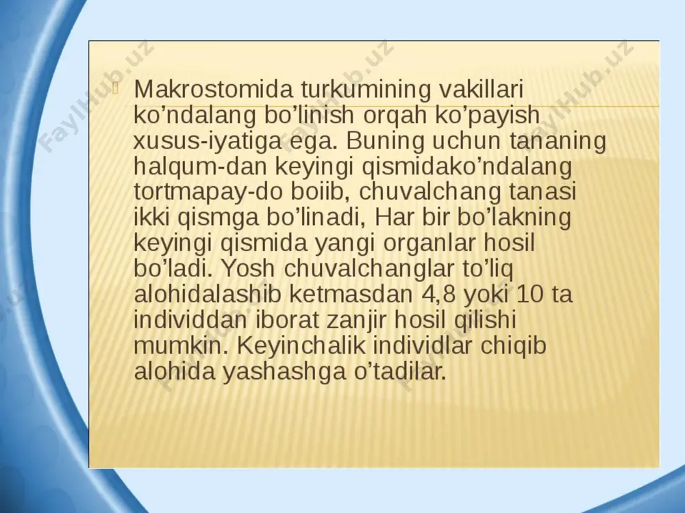 популяциялар экологияси - Page 4