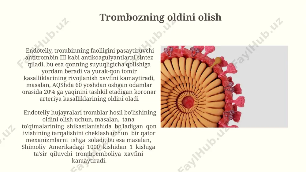 aydi. immunitet tizimining regulyatsiyasi endoteliy hujayralari, immunitet hujayralarining (masalan, leykotsitlarning) qon tomirlaridan chiqishini boshqarishda muhim rol o'ynaydi, bu jarayon selektinlar va integrinlar kabi hujayra yopishqoq molekulalarning ifodalanishi orqali amalga oshiriladi. bu jarayon london universitetida o'tkazilgan tadqiqotlarda tasdiqlangan. endoteliy hujayralari yallig'lanishga qarshi sitokinlar, masalan, 1-tip interferonga (ifn-α) va transformlovchi o'sish omili-β (tgf-β) ni ishlab chiqaradi, bu esa immunitet hujayralarining faolligini tartibga soladi va to'qimalarning shikastlanishini kamaytiradi. endoteliyning tuzilishi va joylashuvi endoteliy yassi, yupqa hujayralardan tashkil topgan bo‘lib, qon tomirlarining ichki yuzasini, masalan, aortaning luminal yuzasini 1 mikrometr qalinlikda qoplaydi. endoteliy hujayralari o‘zaro bog‘langan bo‘lib, 1 mm² maydonda taxminan 1000 ta hujayra joylashgan. ularning joylashishi qon oqimining tezligiga bog‘liq, masalan, katta arteriyalarda zichroq joylashgan. to'qimalarning o'sishi va ta'mirlanishi endoteliy hujayralari tomonidan ajratib chiqariladigan o'sish omillari, masalan, vaskulyar endotelial o'sish omili (vegf), to'qimalarning angiogenezini (yangi qon tomirlarining hosil bo'lishini) 20-30% ga tezlashtirib, shimoliy karolina universiteti tadqiqotlariga ko'ra, yara bitishini 10 kun tezlashtiradi. endoteliy, …