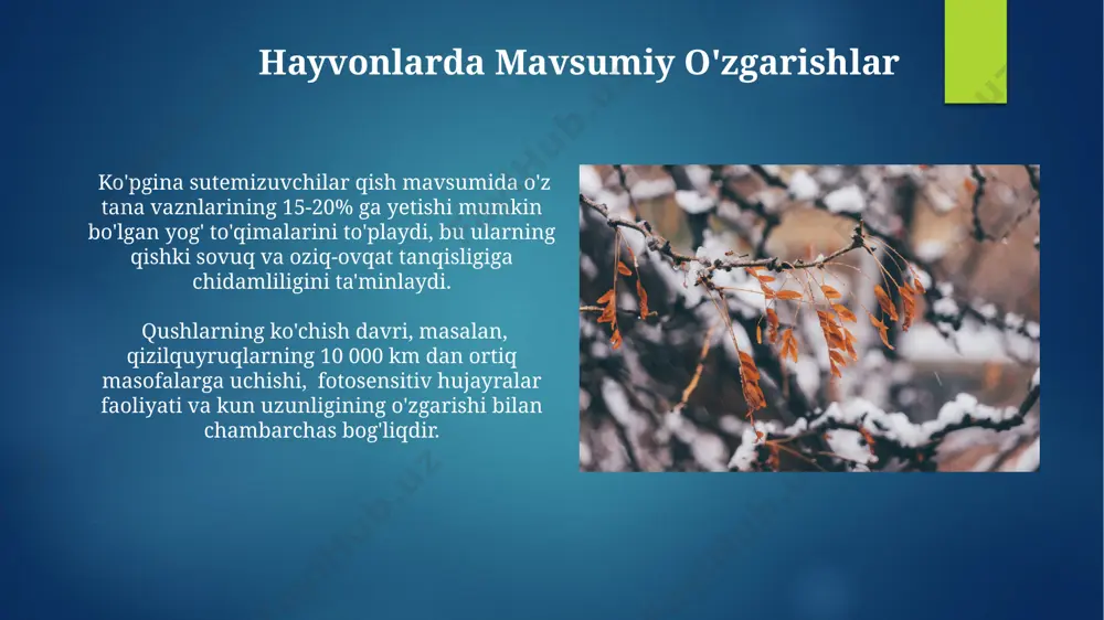 mavsumiy fenologik o'zgarishlar - Page 4