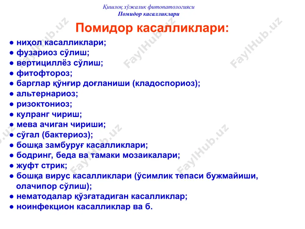 ицидининг эритмаси қуйилиши лозим. қишлоқ хўжалик фитопатологияси помидор касалликлари ниҳол касалликлари билан кураш чоралари уруғлик экиш учун тайёрланган тупроқ (компост)ни pythium spp.ва phytophthora spp. турларига қарши этридиазол, rhizoctonia solani га қарши куинтоцен, барча патогенларга қарши террахлор супер х билан зарарсизлантириш энг юқори самара беради. қишлоқ хўжалик фитопатологияси помидор касалликлари ниҳол касалликлари билан кураш чоралари кўчат ўстириш жараёнида тупроқ ҳарорати 18ос дан паст ва намлиги керагидан ортиқ бўлмаслиги лозим; агротехника қоидаларига тўла риоя қилиш, экинни илиқ сув билан суғориш, касалликка чалинган, нимжон ниҳолларни ягана пайтида олиб ташлаш керак. кўчатлар кўчириб экилгандан сўнг 6 ҳафта ўтгач, улар r. solani га қарши чидамлилик ҳосил қилади. қишлоқ хўжалик фитопатологияси помидор касалликлари ниҳол касалликлари билан кураш чоралари юқорида кўрсатилган препаратлар бўлмаса, кўчат экишдан олдин тупроқни қайноқ сув ёки 1% ли марганцовка эритмаси билан суғориш лозим. қора оёқнинг ўчоғи топилса, касал ниҳолларни эҳтиёткорлик билан олиб ташлаш, ўша жойга калий перманганат эритмаси (10 л сувга 3-5 г …