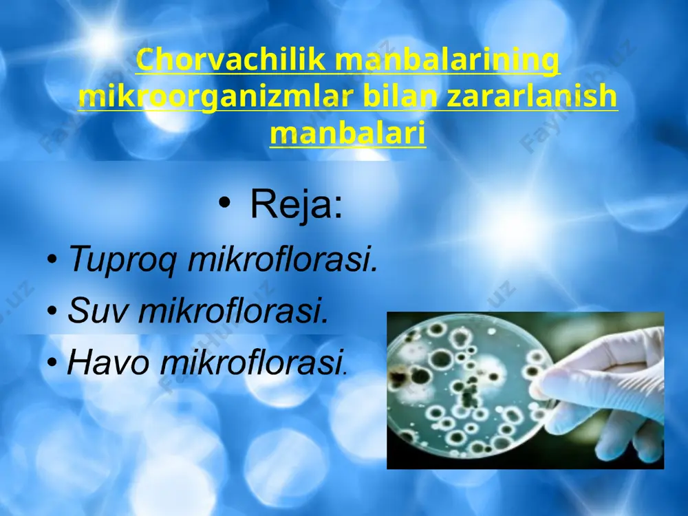 rda ham yashay oladi. ular tuproqda, suvda, havoda va boshqa organizmlar tanasida uchraydi. mikroorganizmlarning tabiatda tarqalishi bakteriyalar tabiatda boshqa tirik organizmlarga qaraganda keng tarqalgan. chunki ular nihoyatda mayda bo’lganligi va tashqi muhit omillariga tez moslasha olganligi, turli-tuman oziqa moddalarni iste’mol etishi sababli boshqa organizmlar yashay olmaydigan joylarda ham yashay oladi. ular tuproqda, suvda, havoda va boshqa organizmlar tanasida uchraydi. 7 mikroorganizmlarining suvda tarqalishi suvda juda ko’p mikroorganizm turlari uchraydi, chunki suv tabiiy muhitdir. mikroorganizmlar suvga tuproq va boshqa manbalardan o’tadi. agar suvda oziq moddalar etarli bo’lsa, unda mikroorganizmlar soni juda ko’payib ketadi. ayniqsa chiqindi oqava suvlarda bakteriyalar ko’p bo’ladi. artezian quduqlari va buloq suvlari esa toza hisoblanadi, chunki ularda bakteriyalar deyarli uchramaydi. ariq va hovuz suvlarida, ayniqsa ariq suvining 10 sm gacha bo’lgan chuqurligida va qirg’oqqa yaqin joylarida bakteriyalar soni ko’p bo’ladi. qirg’oqdan uzoqlashgan sari ularning soni kamayib boradi. 1 ml toza suvda 100-200 dona mikroorganizm, 1 ml iflos suvda …