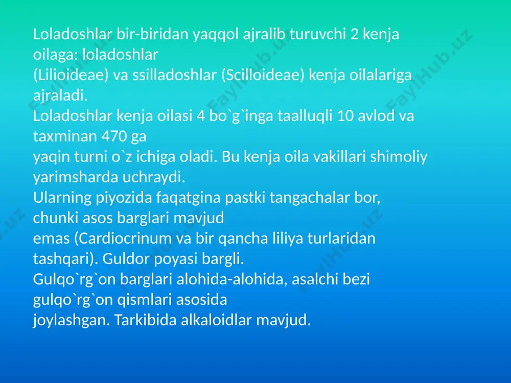 "loladoshlar oilasi" - Page 4