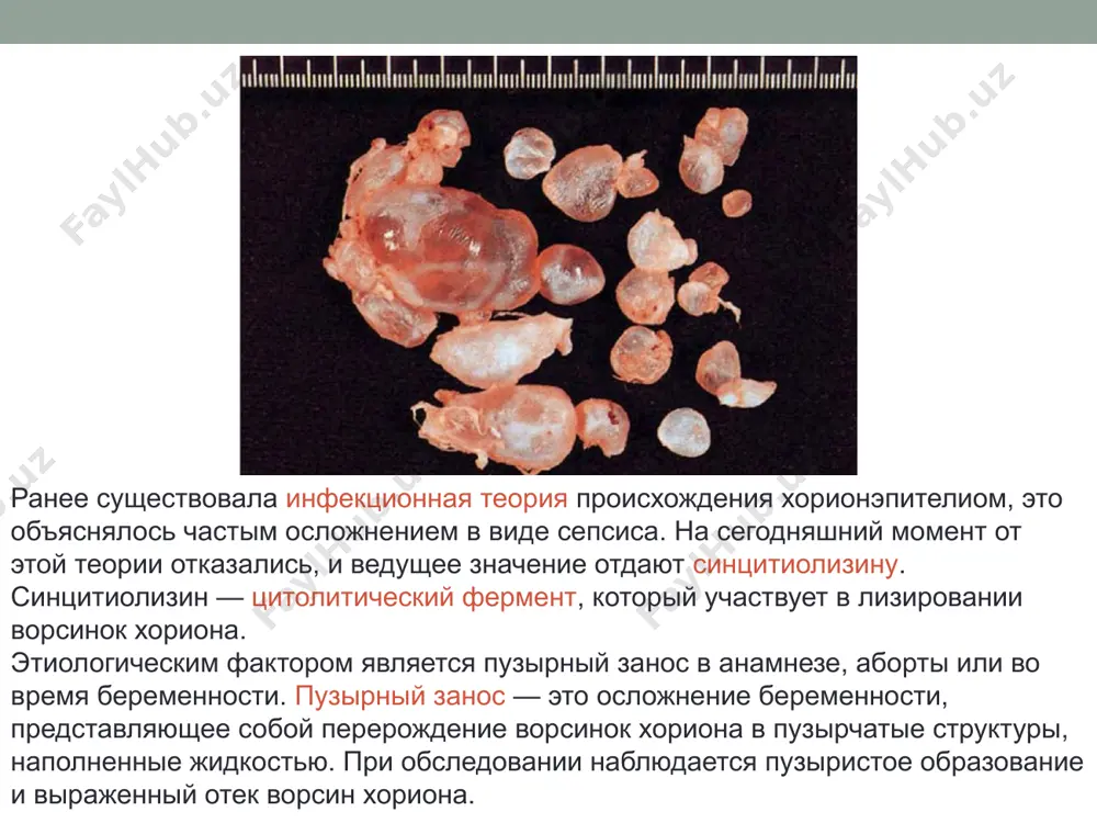 goda. spasibo za vnimanie! image2.png image3.png image4.jpeg image5.png image6.png image7.png image8.png image9.png image10.png pechat /docprops/thumbnail.jpeg