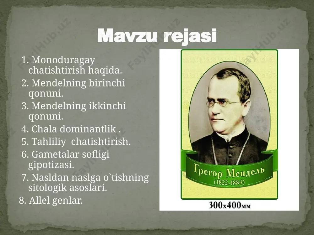 a va odamlarning biokimyovoviy belgilarda kuzatiladi. tahliliy chatishtirish tahliliy chatishtirish uchun olingan birinchi bo`g`in duragaylarni gomozigota retsessiv organizmlar bilan qayta chatishtirishga aytiladi. agar dominant organizm gomozigota bo`lsa,birinchi bo`g`inda bir xillilik kuzatiladi, ya`ni ajralish ro`y bermaydi. agar birinchi bo`g`in geterozigota bo`lsa, fenotip va genotip bo`yicha 1:1 nisbatda ajralish vujudga keladi. gametalar sofligi gipotizasi. mendel geterozigota organizmlarni o`zaro chatishtirganda belgilarning ajralishini genetik jigatdan gametalar sofligi va ular allel genlardan faqat bittasini o`zida saqlashi orqali tushuntirib berdi. nasldan naslga o`tishning sitologik asoslari. monoduragay chatishtirishda belgilarning ajralishini sitologik asoslari shundan iboratki, meyoz natijasida gomologik xromosomalar tarqalishi va gaploid jinsiy hujayralarning hosil bo`lishidir. allel genlar. juft genlar allel genlar deb ataladi. no`xat donlari rangining sariq va yashil rangni belgilovchi genlar allel genlar (allellar)dir. allel genlar gomologik , ya`ni juft xromosomalardan joy oladi,shunga ko`ra meyoz jarayonida ular har xil gametalarga o`tib qoladi. image3.jpeg image4.jpeg image5.jpeg image6.jpeg image7.jpeg image8.jpeg image9.png image10.jpeg image11.jpeg image12.jpeg image13.png /docprops/thumbnail.jpeg
