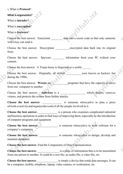 it security basics quiz — DOCX