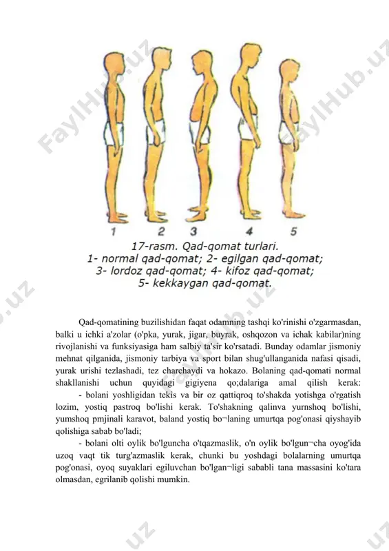 rtqa pog'onasini bo'yin va bel qismidagi oldinga egilishlarini normaga nisbatan kam, ko'krak qismidagi orqaga egilishning esa ko'p bo'lishi tufayli vujudga keladi. kekkaygan qad-qomatli odamning orqasi to'g'ri va tekis, qorni ichiga tortilgan bo'ladi. bunday qad-qomatli umurtqa pog'onasi¬ning ham egilishlari normaga nisbatan kam bo'lishi natijasida yuzaga keladi. qad-qomatining buzilishidan faqat odamning tashqi ko'rinishi o'zgarmasdan, balki u ichki a'zolar (o'pka, yurak, jigar, buyrak, oshqozon va ichak kabilar)ning rivojlanishi va funksiyasiga ham salbiy ta'sir ko'rsatadi. bunday odamlar jismoniy mehnat qilganida, jismoniy tarbiya va sport bilan shug'ullanganida nafasi qisadi, yurak urishi tezlashadi, tez charchaydi va hokazo. bolaning qad-qomati normal shakllanishi uchun quyidagi gigiyena qo;dalariga amal qilish kerak: - bolani yoshligidan tekis va bir oz qattiqroq to'shakda yotishga o'rgatish lozim, yostiq pastroq bo'lishi kerak. to'shakning qalinva yurnshoq bo'lishi, yumshoq pmjinali karavot, baland yostiq bo¬laning umurtqa pog'onasi qiyshayib qolishiga sabab bo'ladi; - bolani olti oylik bo'lguncha o'tqazmaslik, o'n oylik bo'lgun¬cha oyog'ida uzoq vaqt tik turg'azmaslik kerak, chunki …