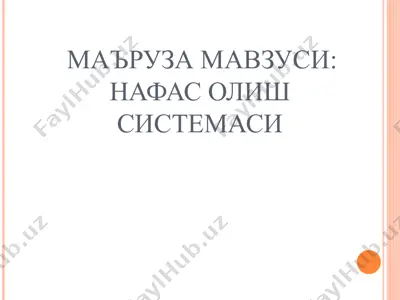 naft olish tizimi — PPT
