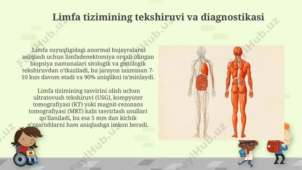 limfa sistemasi - Page 4
