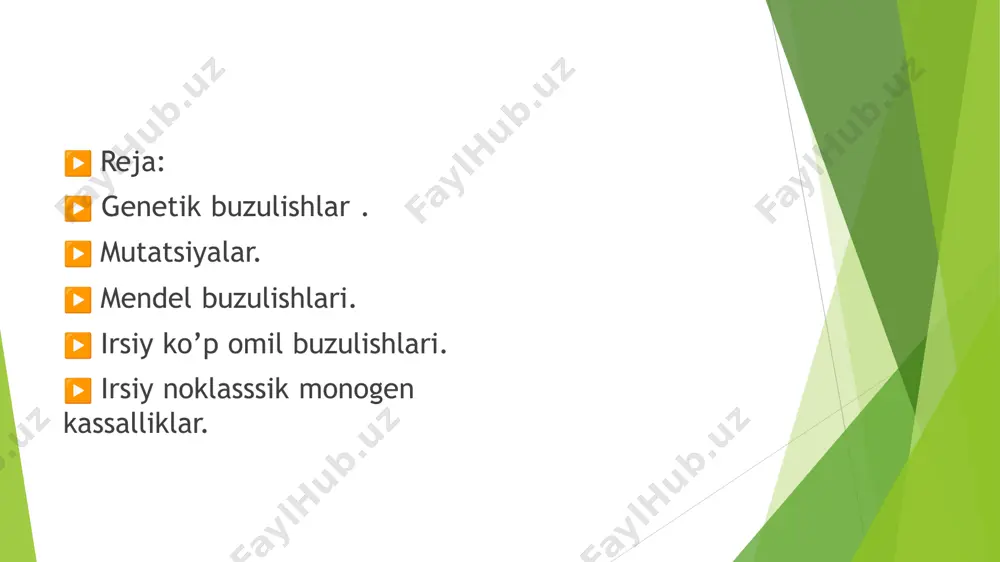 , bu o‘zgarish xromosomaning tuzilishini buzadi va ko‘pincha genetik kasalliklarga olib keladi. ▶ 3. genom mutatsiyalari: ▶ ▶ poliploidiya: xromosomalar to‘plamining ortishi, ya’ni hujayraning odatdagi ikkita (diploid) xromosoma to‘plamidan ko‘proq bo‘lishi. bu, masalan, ba’zi o‘simliklarda yoki hayvonlarda uchraydi. ▶ ▶ aneuploidiya: xromosomalar sonining o‘zgarishi. masalan, trisomiya — 21-xromosomaning ortiqcha nusxasi, bu down sindromiga olib keladi. ▶ mendel buzulishlari (mendelian disorders) — bu irsiyatning asosiy qonunlariga, ya’ni gregor mendelning merosni uzatish qonunlariga zid bo‘lgan genetik kasalliklar. mendelning qonunlari, xususan, dominant va recessiv genlar orqali irsiy xususiyatlarning uzatilib borishini ta’riflagan. lekin ba’zi hollarda bu qonunlar buzilishi mumkin. mendel buzulishlari quyidagi holatlardan iborat bo‘lishi mumkin: ▶ 1. dominant va recessiv genlarning xususiyatlari: ▶ dominant gen: agar bir ota-ona dominant genni olib yursa, u odatda avlodga o‘tkaziladi. bu kasalliklar ko‘pincha bir nechta avlodda namoyon bo‘ladi. ▶ recessiv gen: recessiv genni avlodga o‘tkazish uchun ikkala ota-ona ham bu genni olib yurishlari kerak. ▶ “irsiy ko’p …