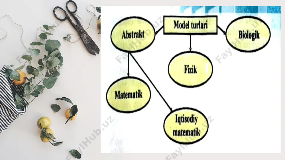 tibbiy biologik masalalar yechish algoritmalarini matematik modellashtirish - Page 4