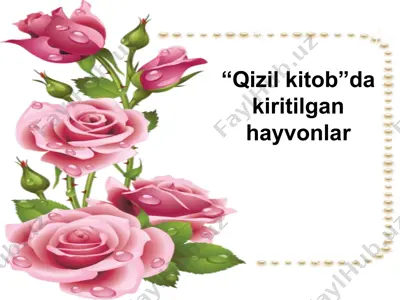 “qizil kitob”da kiritilgan hayvonlar — ZIP
