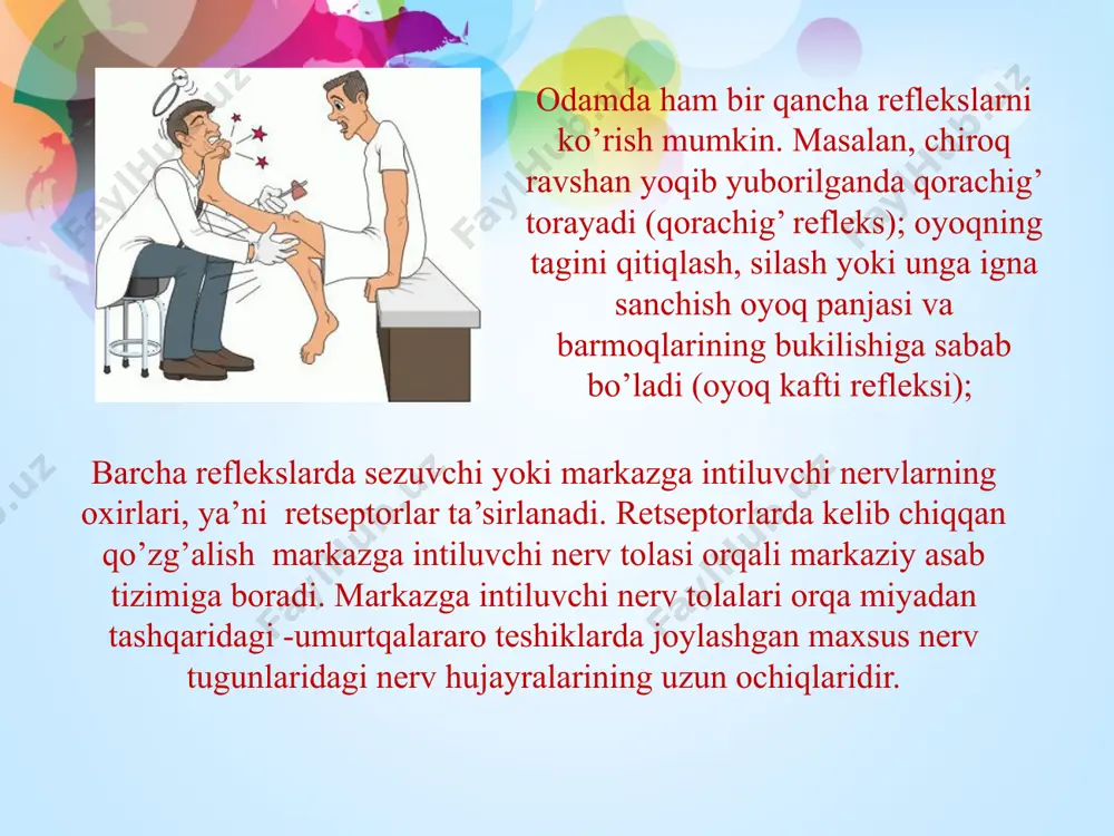 refleks va uning turlari - Page 5