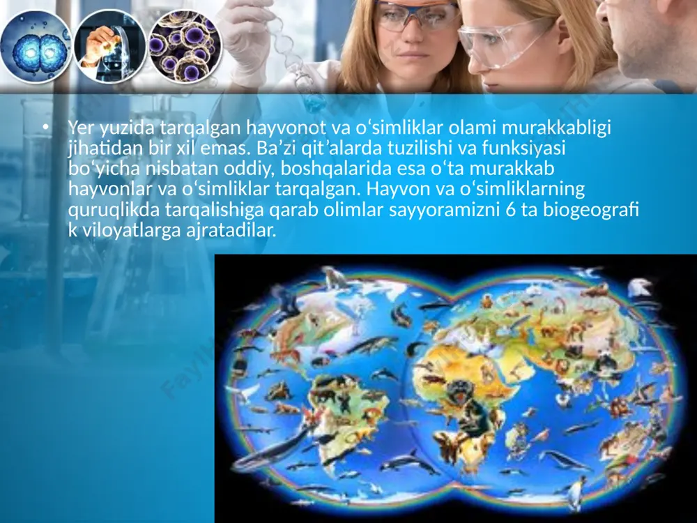 lar, tovuslar, sudralib yuruvchilardan – zaharli ilonlar, har xil kaltakesaklar, timsohlar ko‘zga tashlanadi. o‘rmonlarda bambuk, banan, qora daraxtlar o‘sadi. habashiston biogeografi k viloyati afrikaning markaziy, janubiy qismini, madagaskarni egallagan. bu viloyatning o‘ziga xos hayvonot dunyosi mart ishka, lemur, arslon, fi l, begemot, oq va qora ikki shoxli nosoroglar, jirafa, zebra, giyena itlari, odamsimon maymunlar – gorilla, shimpanze, sudralib yuruvchilardan agama, xameleonlar keng tarqalgan. paleoarktik biogeografi k viloyati butun yevropa, osiyoning shimoliy, markaziy qismini, afrikaning shimoliy qismini egallagan. nihoyatda katta hududga ega bo‘lishiga qaramay, bu viloyatda sutemizuvchi hayvonlarning boshqa viloyatlarda uchramaydigan birorta ham turkumi yo‘q. neoarktik biogeografi k viloyatiga shimoliy amerika, grenlandiya, bermud va aleut orollari kiradi. neoarktik biogeografi k viloyatining o‘ziga xos hayvonlariga sixshox kiyik, tog‘ echkisi, ilvirs, muskusli qo‘y, badbo‘y kaltadum, yenot, daraxt jayralarini kiritsa bo‘ladi. biogeografi k viloyatlardagi hayvonot va o‘simliklar olamining o‘xshashlik va farqiy sabablari. turli viloyatlardagi hayvonot va o‘simliklar olami o‘zaro taqqoslanganda tiplar, sinfl ar o‘rtasida …