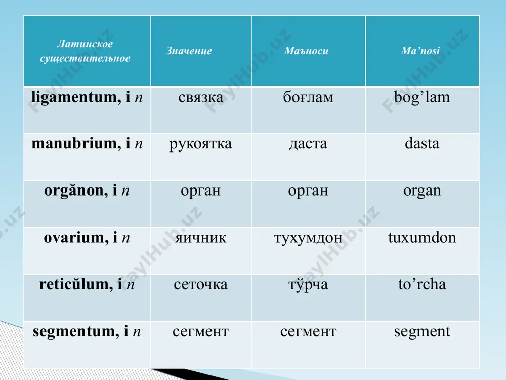 iii-turlanishdagi neutrum roddagi otlar - Page 4