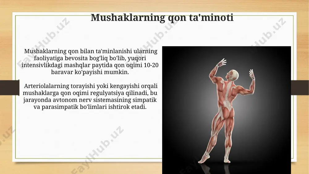 muskullarning tuzilishi - Page 5