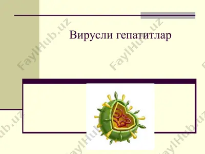 вирусли гепатитлар — PPTX