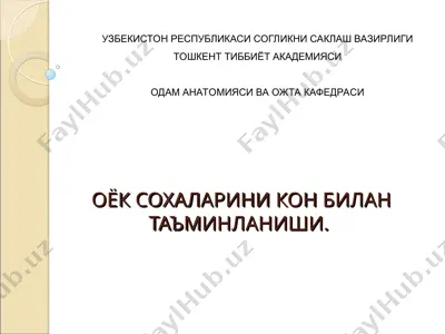 son arteriya — PPT
