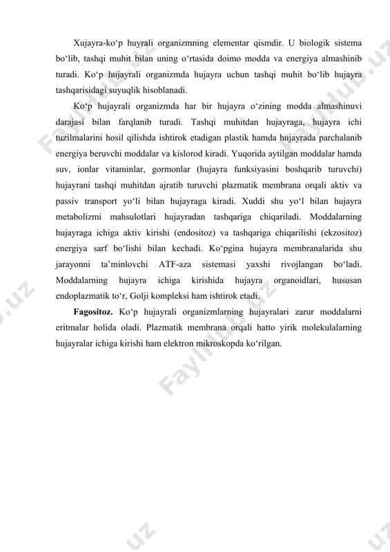 xujayra fiziologiyasi va patologiyasi - Page 2