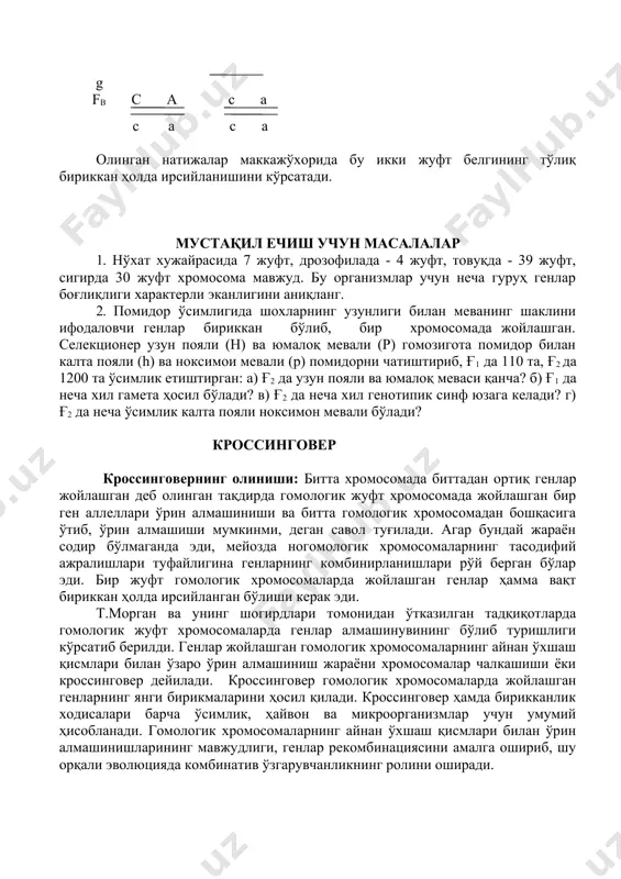 гик жуфт хромосомада жойлашган бир ген аллеллари ўрин алмашиниши ва битта гомологик хромосомадан бошқасига ўтиб, ўрин алмашиши мумкинми, деган савол туғилади. агар бундай жараён содир бўлмаганда эди, мейозда ногомологик хромосомаларнинг тасодифий ажралишлари туфайлигина генларнинг комбинирланишлари рўй берган бўлар эди. бир жуфт гомологик хромосомаларда жойлашган генлар ҳамма вақт бириккан ҳолда ирсийланган бўлиши керак эди. т.морган ва унинг шогирдлари томонидан ўтказилган тадқиқотларда гомологик жуфт хромосомаларда генлар алмашинувининг бўлиб туришлиги кўрсатиб берилди. генлар жойлашган гомологик хромосомаларнинг айнан ўхшаш қисмлари билан ўзаро ўрин алмашиниш жараёни хромосомалар чалкашиши ёки кроссинговер дейилади. кроссинговер гомологик хромосомаларда жойлашган генларнинг янги бирикмаларини ҳосил қилади. кроссинговер ҳамда бирикканлик ходисалари барча ўсимлик, ҳайвон ва микроорганизмлар учун умумий ҳисобланади. гомологик хромосомаларнинг айнан ўхшаш қисмлари билан ўрин алмашинишларининг мавжудлиги, генлар рекомбинациясини амалга ошириб, шу орқали эволюцияда комбинатив ўзгарувчанликнинг ролини оширади. кроссинговернинг генетик таҳлили қандай генетик методлар ёрдами билан бириккан ҳолда ирсийланиш ходисасини генларнинг мустақил комбинирланиш ходисасидан ажратиш мумкин. хромосомаларда рўй берадиган чалкашишни белгиларнинг …