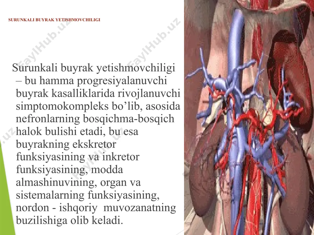 logiyasi sbye ning etiyalogiyasi juda ko'p, ammo, eng ko'p sababchilari bo'lib, glomerulonefrit, pielonefrit va boshqa sababli interstsial nefritlar hisoblanadi. sbye ning rivojlanishida qaysi etiologiyadan qatiy nazar morfologik o'zgarishlar bir hil bo'lib, glomeruloskleroz, interstsial fibroz, saqlangan nefronlarning gipertrofiyasi bilan kechadi. koptokchalar ichidagi gemodinamik o'zgarishlar gipertenziyada namoyon bo'lib, u koptokchalar arteriolalari tonusining pasayishi va rezervdagi buyraklar funksiyasining yo'qolishi tufayli ro'y beradi. patogenezi: sbye ning patogenezini 2 ta jarayon tashkil qiladi: 1. buyraklar parenhimasining sekinlik bilan sklerozga uchrashi va harakat qilayotgan nefronlar massasining kamayishi. 2. har bir nefrondagi koptokchalar filtrasiyasining kamayishi. bu o'z navbatida bazi bir biologik aktiv moddalarning to'planishiga, bazilarining esa etishmovchiligiga sabab bo'ladi. azot almashinuvining hosilalari, o'rta molekulyar og'irlikka (300-250 dalton) moddalar to'planib qoladi, juda kam miqdorda bo'ladi. patogenezi bu molekulyar moddalar tarkibi paratgarmon, natriy uretik omil va boshqa turli hil ingibitorlar (dnk, gemoglobin, fagositoz sintezlari) ham kiradi. ular bilan uremik intoksikasiya bog'liqligi o'rganilgan. organizmda toksik moddalar ko'paygan holatda bir hil …