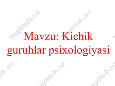 kichik guruhlar psixologiyasi — PPTX