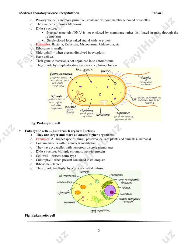 eneration than fermentation bacterial growth curve the different phases of the bacteria during its growth cycle at the given time interval refers to “the growth curve of bacteria”. how does the growth curve obtain? · first, take the sample of bacteria. · then inoculate it into the fresh culture medium (nutrient broth) that contains all the nutrients for the growth. · then incubate the bacteria for at time intervals and determine the count of bacterial cells at that given time interval by the use of a spectrophotometer. · after noting down the readings a standard graph is prepared between the numbers of bacterial cell vs time interval · and by this way, a standard growth curve is obtained. the growth curve of bacteria can be obtained by the following protocol: phases of growth curve of bacteria there are distinct four phases of the growth curve of bacteria. 1. lag phase …