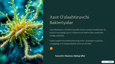 azot o'zlashtiruvchi bakteriyalar — PPTX
