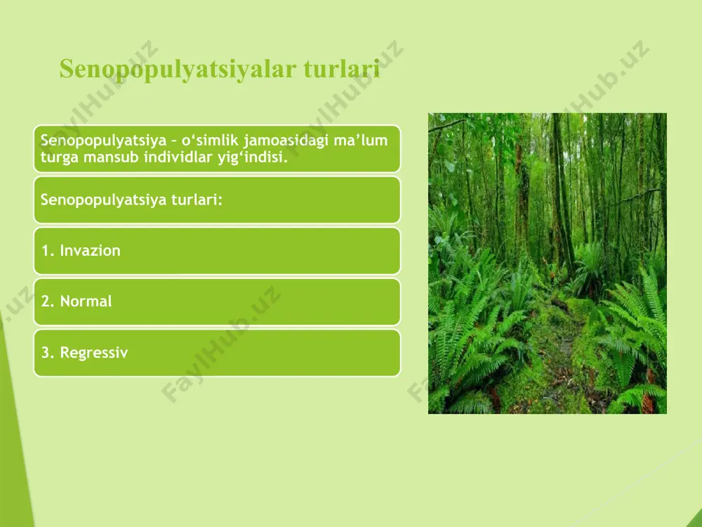 o‘simlik senopopulyatsiyasi - Page 4