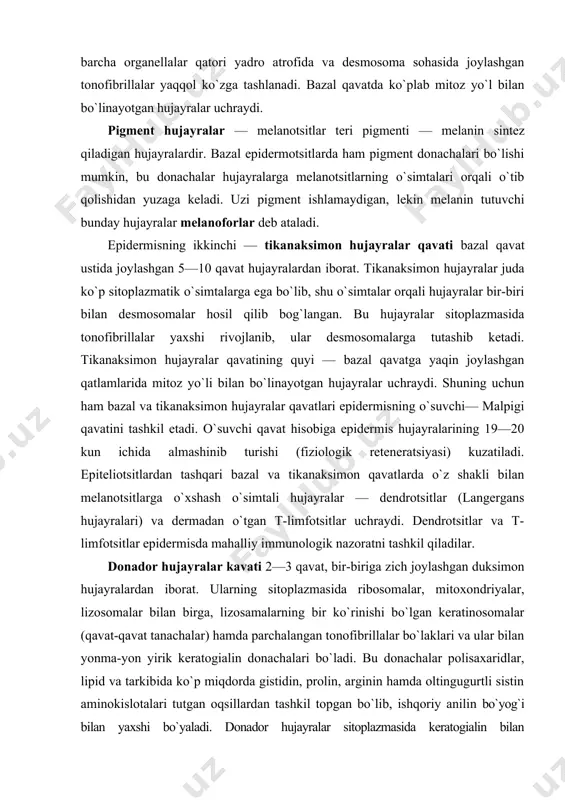 i. bu donachalar polisaxaridlar, lipid va tarkibida ko`p miqdorda gistidin, prolin, arginin hamda oltingugurtli sistin aminokislotalari tutgan oqsillardan tashkil topgan bo`lib, ishqoriy anilin bo`yog`i bilan yaxshi bo`yaladi. donador hujayralar sitoplazmasida keratogialin bilan tonofibrillalar kompleksining bo`lishi ushbu hujayralarda muguzlanish jarayoni boshlanganligidan dalolat beradi. yaltiroq qavat terining ayrim sohalarida (kaftda, tovonda) yaxshi ko`rinadi va yadro tutmagan, sitoplazmasi oqsil modda — eleidin bilan to`lgan 3—4 qavat yassi hujayralardan iborat. eleidin yaxshi bo`yalmaydi, lekin kuchli nur sindirish xususiyatiga ega. shuning uchun hujayralar chegarasi aniq bilinmaydi va bu qavat preparatda rangsiz yaltiroq tasma holida ko`rinadi. eleidin tonofibrillalar va keratogialin oqsillaridan hosil bo`ladi. muguz qavatning qalinligi terining turli sohalarida har xil bo`ladi. kaft, tovon terilarida bu qavat qalin bo`lsa, tananing yon sathida, ayniqsa qovoqlar va erkaklar tashqi jinsiy a’zolari terilarida anchagina yupqadir. bu qavat yadrosiz, bir necha o`n qavat muguz tangachalardan tashkil topgan. bu tangachalar muguz modda (keratin) va havo pufakchalari tutadi. keratin oltingugurtga boy, kislota …
