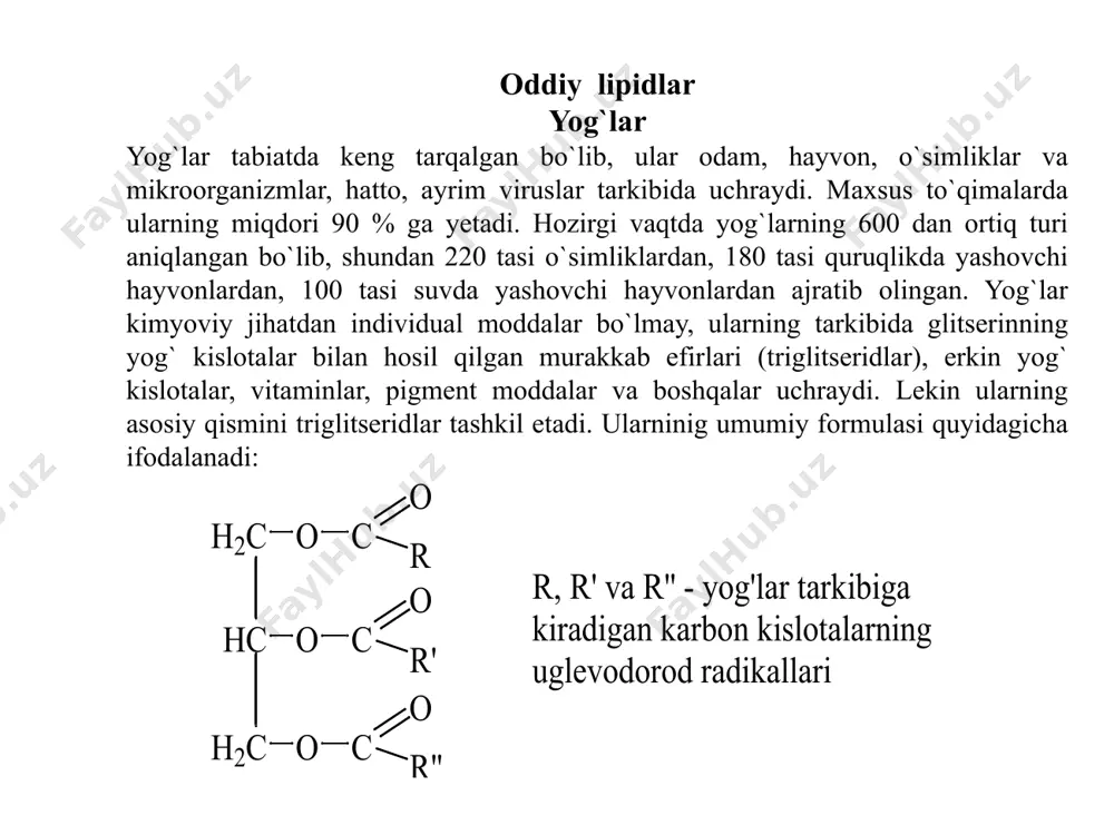 eb ham ataladilar. fosfoatsilglitserinlarning turlari ko’p bo’lsa ham ularni asosi va minor (kichik) vakillarini farqlash mumkin. fosfolipidlar hujayrada faqat membranalar tarkibida bo’ladi. ularning ko’p qismini fosfatidilxolin (letsitin) va fosfatidiletanolamin (kefalin) tashkil qiladi. lekin membrana lipidlarining tarkibi juda murakkab bo’lib, ularda juda kam miqdorda fosfatidilglitserin, xolesterin va boshqa lipidlar ham mavjud. minor komponentlar qatorini fosfatidilserin, fosfatidilinozitol, difosfatidilglitserin (kardiolipin) va fosfatidat kislota tashkil qiladi. fosfoatsilglitserinlarda glitserinning 1- va 2-gidroksiguruhlari ikkita yog’ kislotaning karboksil guruhlari bilan eterifikatsiyalangan. uchinchi gidroksil esa fosfat kislota bilan eterifikatsiya qilingan. hosil bo’lgan birikma fosfatidat kislota yoki diatsilglitserin-3-fosfat deb ataladi. letsitin va kefalin letsitin va kefalin miya to’timasida, tuxum sarig’ida, baliq tuxumida, jigarda, no’xat va achitqida ayniqsa ko’p bo’ladi. turli manbalardan olingan letsitin va kefalinning strukturasi bir xildir. letsitin tarkibidagi azot asosi xolin metillangan oksietilammoniydir: kefalin tarkibiga oksietilamin yoki kolamin kiradi. to’yinmagan yog’ kislota β-holatda, to’yingan yog’ kislota esa faqat α-holatda bo’ladi. letsitin va boshqa glitserofosfatidlarda fosfat kislota va …