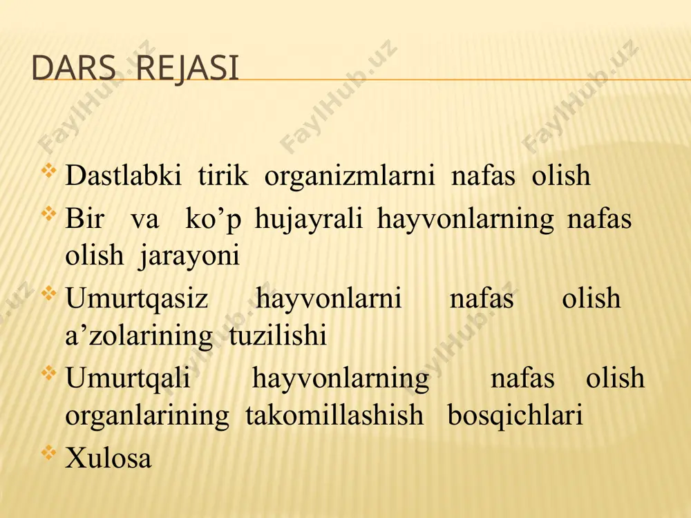 "hayvonlarning nafas olish organlari evolutsiyasi" - Page 5
