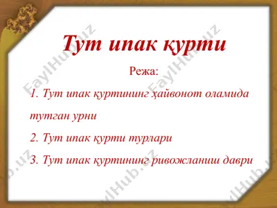 тут ипак қурти — PPTX
