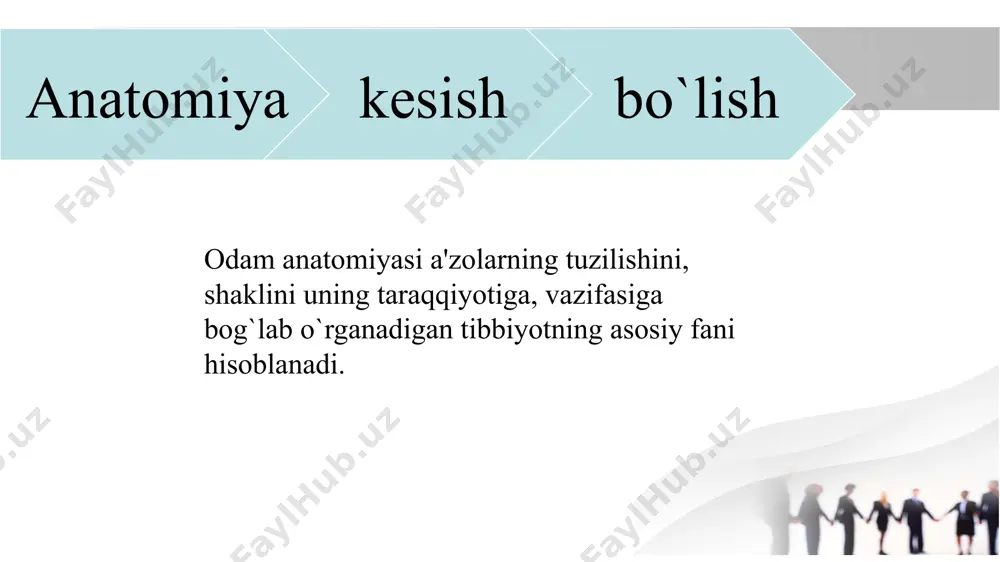 'krak bo'shlig'i, yurak, o'pkalar va boshqalar joylashgan. ko'krak qafasi qovurg'alar bilan himoyalangan. qorin : ichaklar, jigar, oshqozon, buyraklar kabi ichki a'zolar joylashgan. orqa : umurtqa pog'onasidan iborat bo'lib, orqa mushaklari va nerv tizimi joylashgan. 2.qo'llar : yelka, barmoqlar bilan birga bo'lgan qo'l qismlari. qo'llar tananing yuqori qismidan boshlanadi. 3. oyoqlar : boshqa qismlarga qaraganda katta va kuchli. oyoqlarda son, tizza, to'piq va barmoqlar mavjud. shuningdek, har bir tana qismida suyaklar, mushaklar, qon tomirlari va nervlar tizimi ham mavjud. tana tuzilishining har bir qismi bir-biri bilan o'zaro bog'lanib ishlaydi. miya – tana uchun juda muhim va murakkab organ bo'lib, odamning aqliy va jismoniy faoliyatini ta'minlaydi. bosh miyasi quyidagi asosiy qismlardan iborat: bosh miyaning katta yarimsharlari (kallus) - o'ylash, his-tuyg'ular, xotira, til va boshqalar bilan bog'liq bo'lgan funksiyalarni boshqaradi. o'rta miya - ko'rish va eshitish kabi hislarni qayta ishlashga yordam beradi. pons va medulla oblongata - nafas olish, yurak urishi va boshqa …
