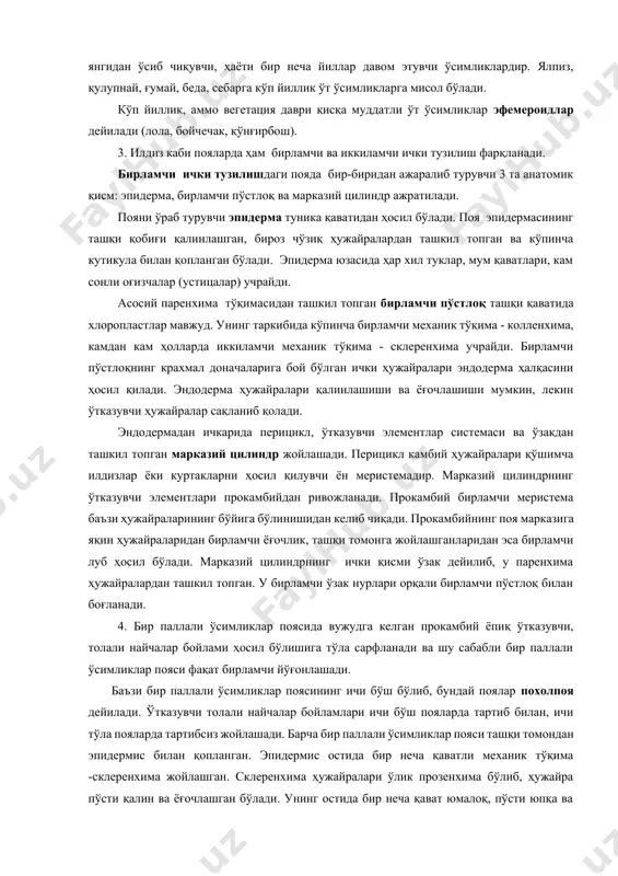 опланган бўлади. эпидерма юзасида ҳар хил туклар, мум қаватлари, кам сонли оғизчалар (устицалар) учрайди. асосий паренхима тўқимасидан ташкил топган бирламчи пўстлоқ ташқи қаватида хлоропластлар мавжуд. унинг таркибида кўпинча бирламчи механик тўқима - колленхима, камдан кам ҳолларда иккиламчи механик тўқима - склеренхима учрайди. бирламчи пўстлоқнинг крахмал доначаларига бой бўлган ички ҳужайралари эндодерма ҳалқасини ҳосил қилади. эндодерма ҳужайралари қалинлашиши ва ёғочлашиши мумкин, лекин ўтказувчи ҳужайралар сақланиб қолади. эндодермадан ичкарида перицикл, ўтказувчи элементлар системаси ва ўзакдан ташкил топган марказий цилиндр жойлашади. перицикл камбий ҳужайралари қўшимча илдизлар ёки куртакларни ҳосил қилувчи ён меристемадир. марказий цилиндрнинг ўтказувчи элементлари прокамбийдан ривожланади. прокамбий бирламчи меристема баъзи ҳужайраларининг бўйига бўлинишидан келиб чиқади. прокамбийнинг поя марказига яқин ҳужайраларидан бирламчи ёғочлик, ташқи томонга жойлашганларидан эса бирламчи луб ҳосил бўлади. марказий цилиндрнинг ички қисми ўзак дейилиб, у паренхима ҳужайралардан ташкил топган. у бирламчи ўзак нурлари орқали бирламчи пўстлоқ билан боғланади. 4. бир паллали ўсимликлар поясида вужудга келган прокамбий ёпиқ ўтказувчи, толали …