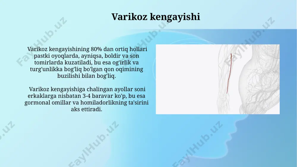 vena tizimi - Page 5