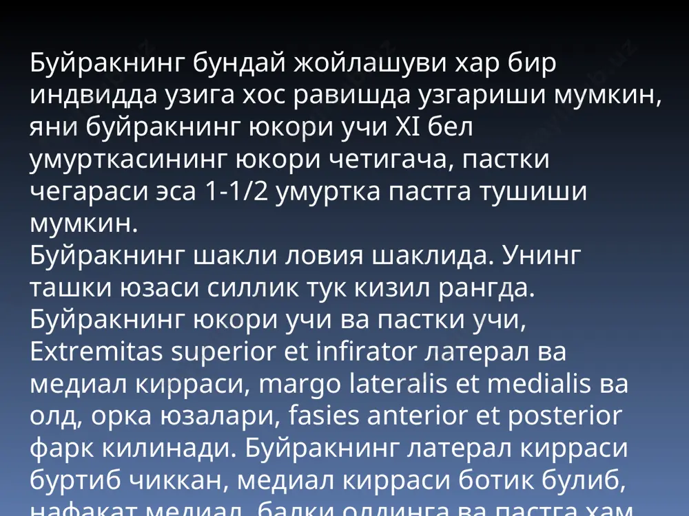 и. тажриба усуллари эса ўз навбатида ўткир ва сурункали усулларни ўз ичига олади. ўткир тажрибалар кенг кўламда қўлланилмайди, чунки бу усул қатор камчиликлардан холи эмас. энг аввало наркоз остида олиб борилиб, мнт тормозланган ҳолда бўлади. сурункали тажрибалар и.п.павлов таклиф қилган сийдик пуфагига фистулалар қўйиш усули ёрдамида янги поғонага кўтарилиб, табиий шароитда кечади. и.п.павловнинг шогирдларидан л.а.орбели таклиф қилган усул, сийдик чиқарув йўлларини алоҳида-алоҳида қорин сохасига тикиб қўйиш усули ёрдамида эса хар бир буйракнинг сийдик ажратиш механизмини ўрганиш мумкин. буйраклар фаолиятини ўрганишнинг асосий усулларидан бири бу микропункция ва микроперфузия усулларидир. биринчи бўлиб пенсилван университетида а.н.ричардс таклиф этган микропипетка ёрдамида нафроннинг турли қисмларидан суюқликлар олиниб, нефроннинг турли қисмларини сийдик ҳосил бўлишидаги роли ўрганилади. инсон ва ҳайвонлар буйракларининг функционал ҳолатини ўрганиш учун, айрим моддаларни қонда ва сийдикдаги миқдорини аниқлаб, сийдик ҳосил бўлишининг асосий жараёнлари тўғрисида миқдорий маълумот беради (тозаланиш коэфиценти). бу усул клиникада кенг кўламда қўлланилмоқда. сийдик йули. сийдик йули уретер, узунлиги 30 см …