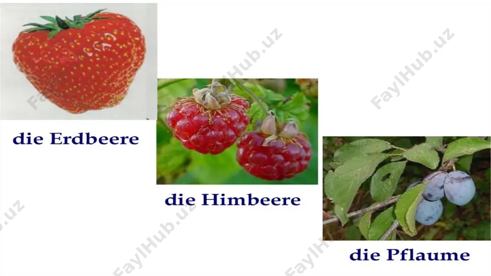 obst und gemüse - Page 5