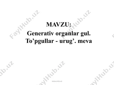 generativ organlar gul. to’pgullar - urug’. meva — PPTX