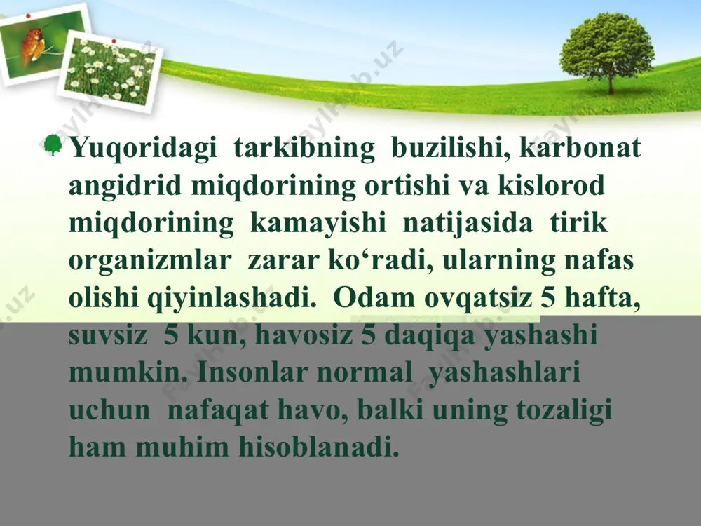 ning 50 % ga kamayishi qayd qilindi. ozon qatlami insonlar va barcha jonzotlarni quyoshning qisqa tо‘lqinli ultrabinafsha nurlanishidan himoya qiluvchi ekran vazifasini о‘taydi. galogenli uglevodorodlar (xlorftoruglerodlar, galonlar, tetraxlormetan, metil bromid) ozonni buzuvchi moddalar hisoblanadi. ozonning siyraklashuvi teri saratoni, immunotizimning kuchsizlanishi va pardali katarakta, о‘simliklar jarohati, shu jumladan, о‘simliklar hosildorligining pasayishi, plankton va fitoplankton singari dengiz hayvon turlari xilma-xilligining qisqarishi kabi salomatlik va ekologik muammolarning ortishiga olib keladi. 1987 - yilning 16-sentabrida ozon qatlamini yemiruvchi moddalar bо‘yicha monreal protokoli ishlab chiqilgan. ushbu sana har yili xalqaro ozon qatlamini himoya qilish kuni sifatida nishonlanadi. о‘zbekiston respublikasi prezidenti i.a.karimov tomonidan 2006 - yilning 7-sentabrida о‘zbekiston respublikasining “ozon qatlamini buzuvchi moddalar bо‘yicha monreal protokoliga tuzatmalarni (monreal, 1997-yil, 17-sentabr) ratifikatsiya qilish tо‘g‘risida” gi va “ozon qatlamini buzuvchi moddalar bо‘yicha monreal bayonnomasiga tuzatmalar (pekin, 1999-yil, 3-dekabr) ni ratifikatsiya qilish tо‘g‘risida” gi qonunlar imzolandi. avtomobil transporti havoning ifloslanishida katta о‘rin egallaydi. avtotransportdan chiqadigan gazlar tarkibida zararli moddalar …