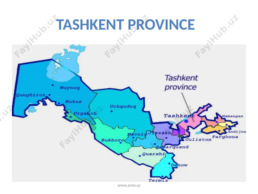 holds 4th place in the country by number of population. www.arxiv.uz the people of tashkent region makes up 9.0% of country’s population. the largest cities are almalyk, angren, ahangaran, bekabad, chirchik, yangiyul. the region is multi-ethnic, in particular 65.3 % of population composed by uzbeks, 13.3% - kazakhs, 6.4% - russians, 5.3% - tajiks, 2.3% - koreans and 7.4% - kyrgyzs, uigurs, tatars, ukrainians and other representatives of over 80 nations. 1 million 177.7 thousand person of total population engaged on region’s economic sphere, including 253.1 thousand person – on agriculture and forestry, 157.2 thousand – on industry, 86.9 thousand – on the field of public education and culture, 65.3 thousand – on health protection and social security sphere, 36.1 thousand – on construction sphere, 27.4 thousand – on the field of transport and communications, 22.1 thousand – on community and consumer services, 458.4 thousand – on other economic fields …