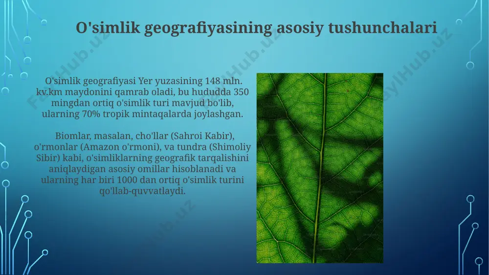 oʻsimliklar geografiyasi asoslari - Page 5