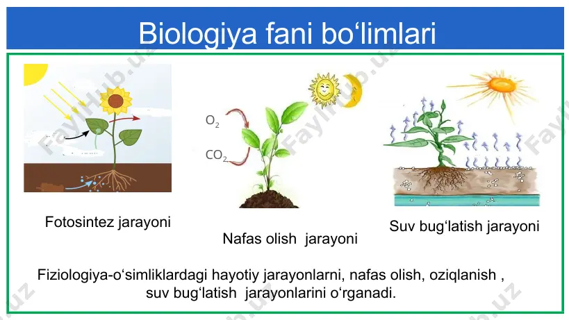 botanika- o‘simliklar haqidagi fan - Page 5