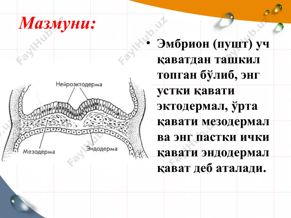 xujayralari bosh miyaning faqat kulrang moddasida emas, balki oq moddasida ham joylashishi mumkin. nerv tolalarining mielin pardasi bilan koplanishi nihoyasiga etmagan bo'ladi. adabiyot badalyan l.o. nevrologiya detskogo vozrasta .izdanie 3. 1984 g shomansurov sh.sh. i soavt. detskaya nevrologiya. tashkent 1995 g madjidov n.m.gafurov b.g., madjidova e.n. xususiy nevrologiya. tashkent 2012 bolshaya meditsinskaya entsiklopediya .m.1982 t 16 mnogotomnoe rukovodstvo po nevrologii. t 3 kn 1. 1962 g gorbachevskaya n.l. i soavt. fiziologiya cheloveka. 1992. êàê ðàáîòàåò íåéðîí - youtube [360p]-1ìèí.mp4
