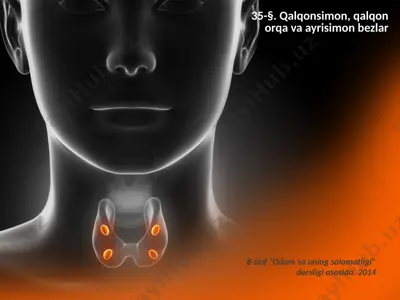 qalqonsimon, qalqon orqa va ayrisimon bezlar. 8 - sinf — PPTX