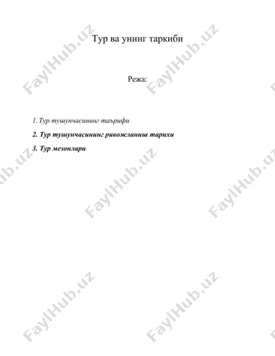 тур ва унинг таркиби — DOC